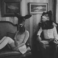 6686体育钻石作者风中追风